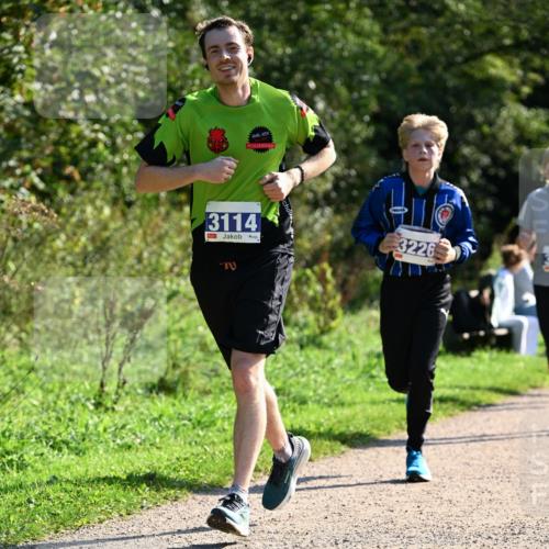 27.09.2026 - 35. Volkslauf durch das schöne Alstertal Dr. Thomas Lammeyer http://msf.ph/oto/10573467 27.09.2026 11:28:32 Laufen 3114, 3226, 30 meine-sportfotos.de