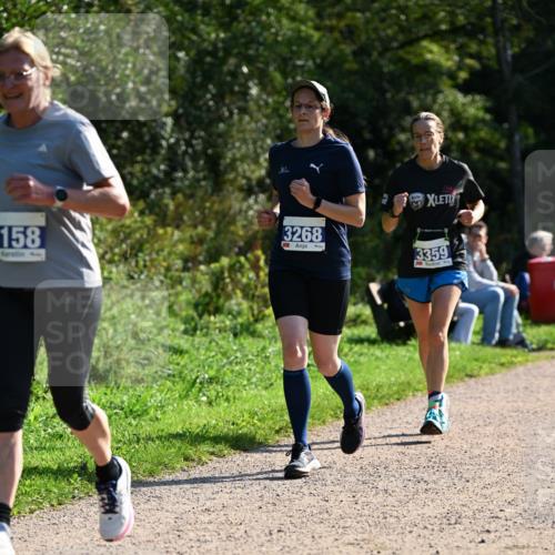 27.09.2026 - 35. Volkslauf durch das schöne Alstertal Dr. Thomas Lammeyer http://msf.ph/oto/10573480 27.09.2026 11:28:35 Laufen 158, 3268, 3359 meine-sportfotos.de