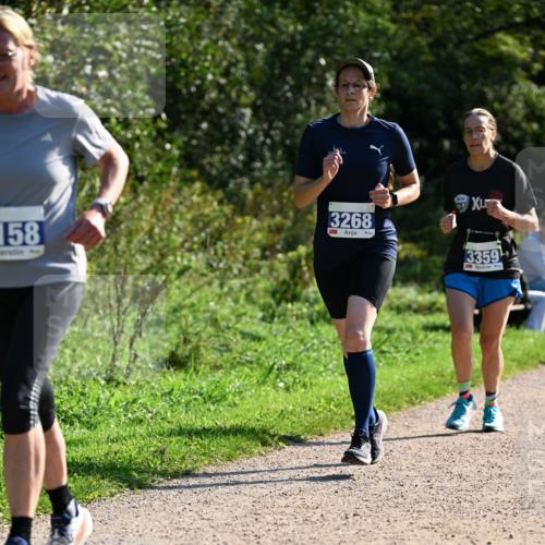 27.09.2026 - 35. Volkslauf durch das schöne Alstertal Dr. Thomas Lammeyer http://msf.ph/oto/10573482 27.09.2026 11:28:35 Laufen 158, 3268, 3359 meine-sportfotos.de