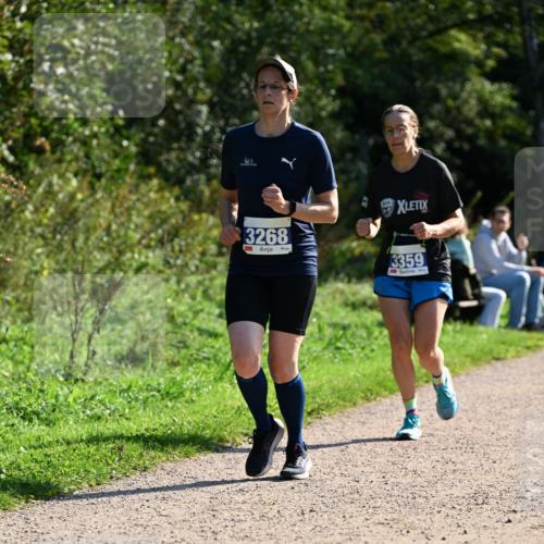 27.09.2026 - 35. Volkslauf durch das schöne Alstertal Dr. Thomas Lammeyer http://msf.ph/oto/10573485 27.09.2026 11:28:35 Laufen 3268, 3359 meine-sportfotos.de