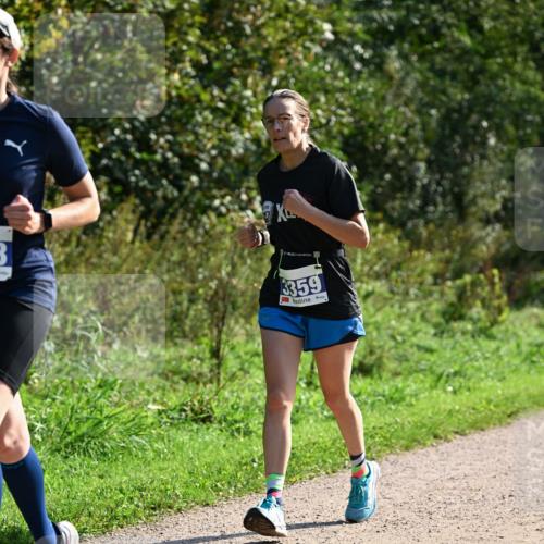 27.09.2026 - 35. Volkslauf durch das schöne Alstertal Dr. Thomas Lammeyer http://msf.ph/oto/10573493 27.09.2026 11:28:37 Laufen 3359 meine-sportfotos.de