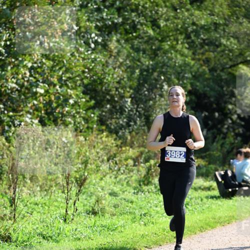 27.09.2026 - 35. Volkslauf durch das schöne Alstertal Dr. Thomas Lammeyer http://msf.ph/oto/10573500 27.09.2026 11:28:44 Laufen 3982 meine-sportfotos.de