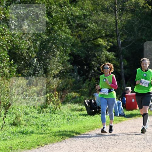 27.09.2026 - 35. Volkslauf durch das schöne Alstertal Dr. Thomas Lammeyer http://msf.ph/oto/10573510 27.09.2026 11:28:50 Laufen 3085, 3086 meine-sportfotos.de
