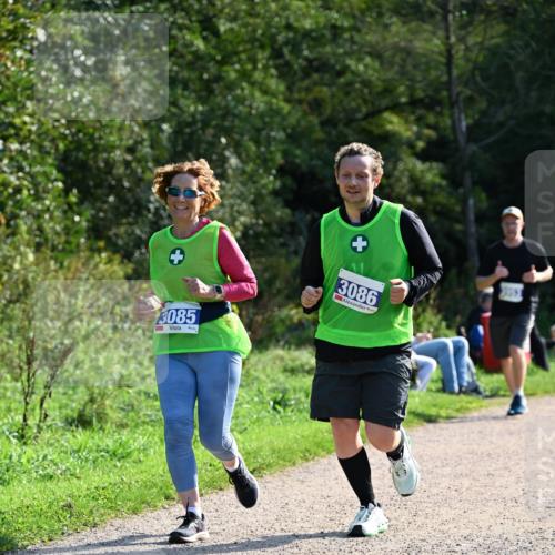27.09.2026 - 35. Volkslauf durch das schöne Alstertal Dr. Thomas Lammeyer http://msf.ph/oto/10573523 27.09.2026 11:28:52 Laufen 3085, 3086 meine-sportfotos.de
