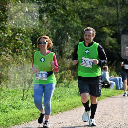 27.09.2026 - 35. Volkslauf durch das schöne Alstertal Dr. Thomas Lammeyer http://msf.ph/oto/10573527 27.09.2026 11:28:53 Laufen 3085, 3086, 3009 meine-sportfotos.de