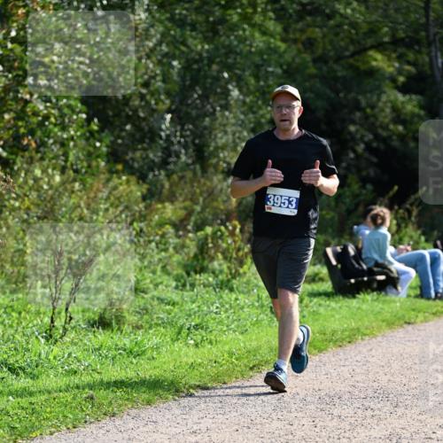 27.09.2026 - 35. Volkslauf durch das schöne Alstertal Dr. Thomas Lammeyer http://msf.ph/oto/10573534 27.09.2026 11:28:56 Laufen 3953 meine-sportfotos.de