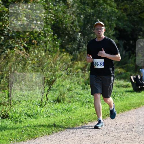 27.09.2026 - 35. Volkslauf durch das schöne Alstertal Dr. Thomas Lammeyer http://msf.ph/oto/10573538 27.09.2026 11:28:56 Laufen 3953 meine-sportfotos.de
