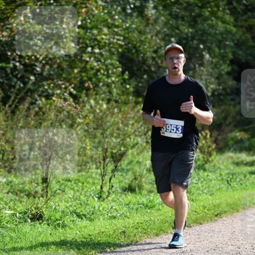 27.09.2026 - 35. Volkslauf durch das schöne Alstertal Dr. Thomas Lammeyer http://msf.ph/oto/10573541 27.09.2026 11:28:56 Laufen 3953 meine-sportfotos.de