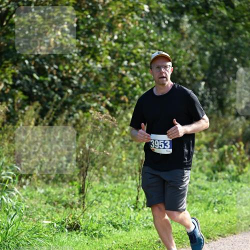 27.09.2026 - 35. Volkslauf durch das schöne Alstertal Dr. Thomas Lammeyer http://msf.ph/oto/10573545 27.09.2026 11:28:57 Laufen 3953 meine-sportfotos.de