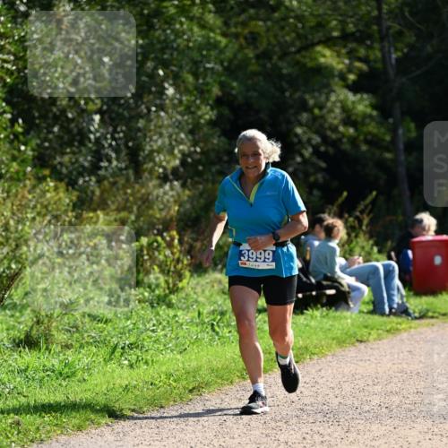 27.09.2026 - 35. Volkslauf durch das schöne Alstertal Dr. Thomas Lammeyer http://msf.ph/oto/10573624 27.09.2026 11:29:13 Laufen 3999 meine-sportfotos.de
