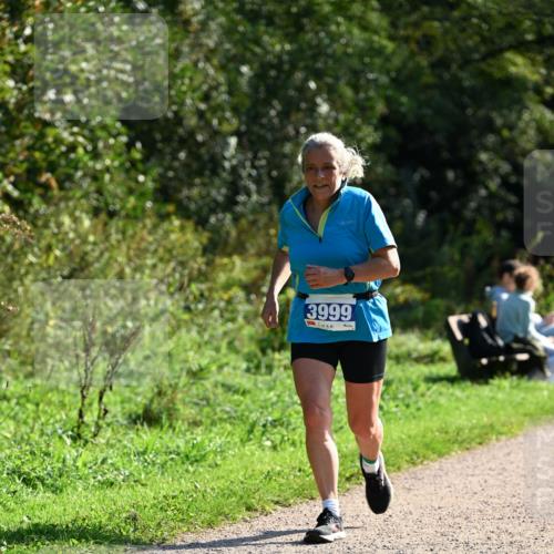 27.09.2026 - 35. Volkslauf durch das schöne Alstertal Dr. Thomas Lammeyer http://msf.ph/oto/10573631 27.09.2026 11:29:13 Laufen 3999 meine-sportfotos.de
