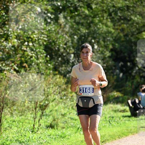 27.09.2026 - 35. Volkslauf durch das schöne Alstertal Dr. Thomas Lammeyer http://msf.ph/oto/10573641 27.09.2026 11:29:26 Laufen 3168 meine-sportfotos.de
