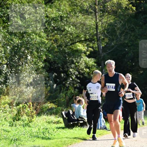 27.09.2026 - 35. Volkslauf durch das schöne Alstertal Dr. Thomas Lammeyer http://msf.ph/oto/10573652 27.09.2026 11:29:28 Laufen 3080, 3327, 3079 meine-sportfotos.de