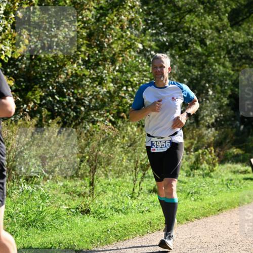 27.09.2026 - 35. Volkslauf durch das schöne Alstertal Dr. Thomas Lammeyer http://msf.ph/oto/10573749 27.09.2026 11:29:53 Laufen 3956 meine-sportfotos.de