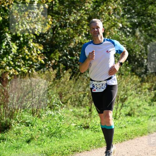 27.09.2026 - 35. Volkslauf durch das schöne Alstertal Dr. Thomas Lammeyer http://msf.ph/oto/10573756 27.09.2026 11:29:54 Laufen 3956 meine-sportfotos.de