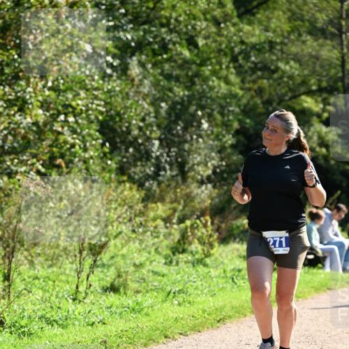 27.09.2026 - 35. Volkslauf durch das schöne Alstertal Dr. Thomas Lammeyer http://msf.ph/oto/10573766 27.09.2026 11:29:58 Laufen 271 meine-sportfotos.de