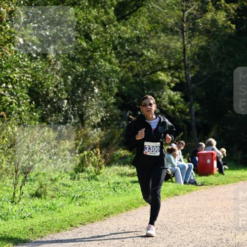 27.09.2026 - 35. Volkslauf durch das schöne Alstertal Dr. Thomas Lammeyer http://msf.ph/oto/10573792 27.09.2026 11:30:02 Laufen 3300 meine-sportfotos.de