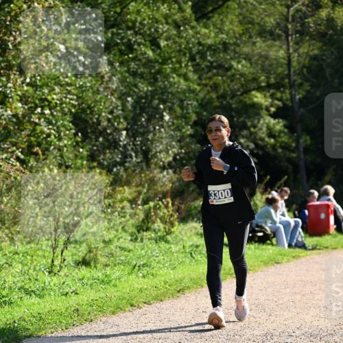 27.09.2026 - 35. Volkslauf durch das schöne Alstertal Dr. Thomas Lammeyer http://msf.ph/oto/10573795 27.09.2026 11:30:03 Laufen 3300 meine-sportfotos.de