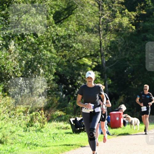 27.09.2026 - 35. Volkslauf durch das schöne Alstertal Dr. Thomas Lammeyer http://msf.ph/oto/10573813 27.09.2026 11:30:14 Laufen  meine-sportfotos.de