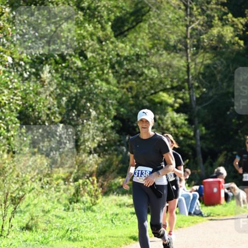 27.09.2026 - 35. Volkslauf durch das schöne Alstertal Dr. Thomas Lammeyer http://msf.ph/oto/10573818 27.09.2026 11:30:15 Laufen 3138 meine-sportfotos.de