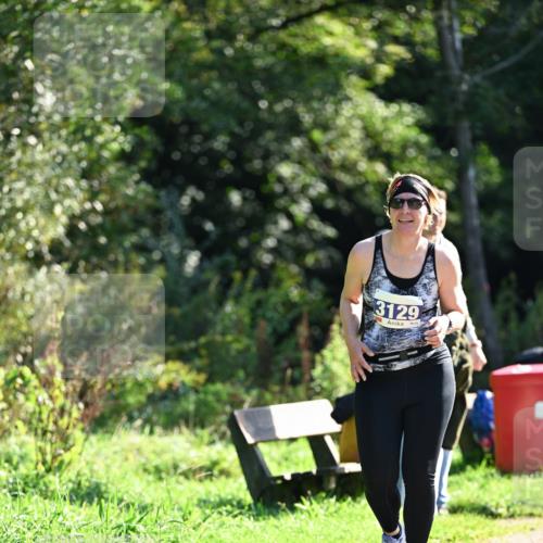 27.09.2026 - 35. Volkslauf durch das schöne Alstertal Dr. Thomas Lammeyer http://msf.ph/oto/10573874 27.09.2026 11:30:32 Laufen 3129 meine-sportfotos.de