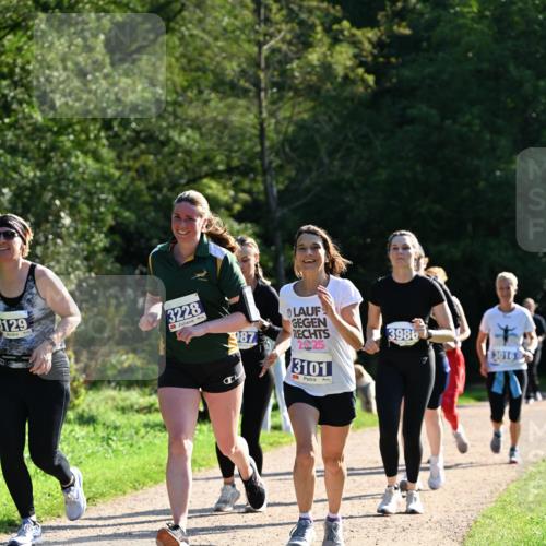 27.09.2026 - 35. Volkslauf durch das schöne Alstertal Dr. Thomas Lammeyer http://msf.ph/oto/10573891 27.09.2026 11:30:35 Laufen 129, 3228, 987, 2025, 3986, 3016, 3101 meine-sportfotos.de