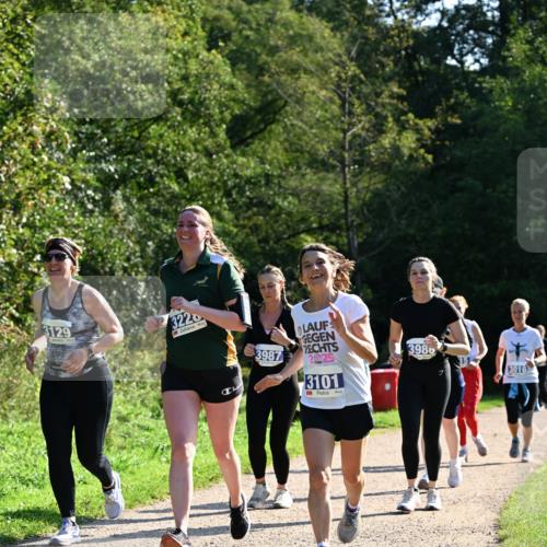 27.09.2026 - 35. Volkslauf durch das schöne Alstertal Dr. Thomas Lammeyer http://msf.ph/oto/10573896 27.09.2026 11:30:35 Laufen 3129, 3220, 3987, 2025, 3101, 3980, 3016 meine-sportfotos.de