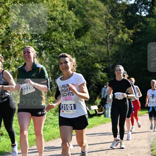 27.09.2026 - 35. Volkslauf durch das schöne Alstertal Dr. Thomas Lammeyer http://msf.ph/oto/10573904 27.09.2026 11:30:36 Laufen 3228, 2025, 3101, 398, 3016 meine-sportfotos.de