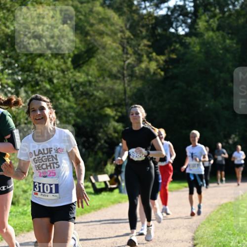 27.09.2026 - 35. Volkslauf durch das schöne Alstertal Dr. Thomas Lammeyer http://msf.ph/oto/10573905 27.09.2026 11:30:36 Laufen 3900, 2025, 3101 meine-sportfotos.de