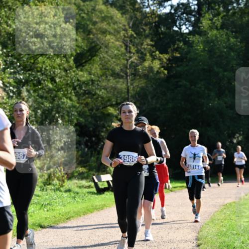 27.09.2026 - 35. Volkslauf durch das schöne Alstertal Dr. Thomas Lammeyer http://msf.ph/oto/10573907 27.09.2026 11:30:37 Laufen 987, 3986, 5, 3016 meine-sportfotos.de