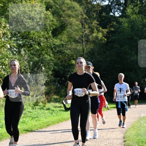 27.09.2026 - 35. Volkslauf durch das schöne Alstertal Dr. Thomas Lammeyer http://msf.ph/oto/10573909 27.09.2026 11:30:37 Laufen 3987, 398, 3016 meine-sportfotos.de