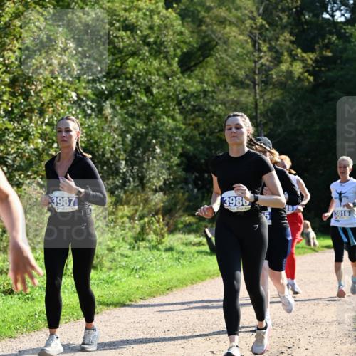 27.09.2026 - 35. Volkslauf durch das schöne Alstertal Dr. Thomas Lammeyer http://msf.ph/oto/10573910 27.09.2026 11:30:37 Laufen 3987, 3986, 3016 meine-sportfotos.de