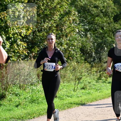 27.09.2026 - 35. Volkslauf durch das schöne Alstertal Dr. Thomas Lammeyer http://msf.ph/oto/10573912 27.09.2026 11:30:37 Laufen 3987, 39 meine-sportfotos.de