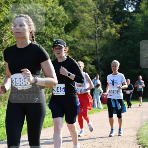 27.09.2026 - 35. Volkslauf durch das schöne Alstertal Dr. Thomas Lammeyer http://msf.ph/oto/10573916 27.09.2026 11:30:38 Laufen 3986, 7, 2045, 301, 43016 meine-sportfotos.de