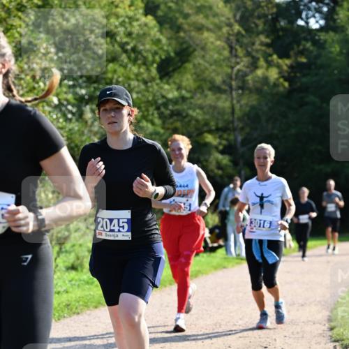 27.09.2026 - 35. Volkslauf durch das schöne Alstertal Dr. Thomas Lammeyer http://msf.ph/oto/10573919 27.09.2026 11:30:38 Laufen 2045, 3016 meine-sportfotos.de