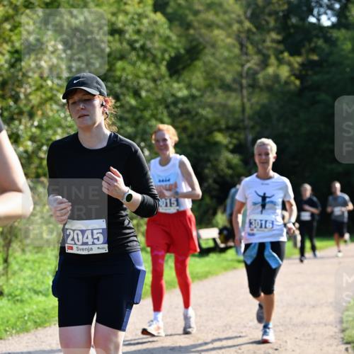 27.09.2026 - 35. Volkslauf durch das schöne Alstertal Dr. Thomas Lammeyer http://msf.ph/oto/10573921 27.09.2026 11:30:39 Laufen 4444, 2045, 2015, 3016 meine-sportfotos.de