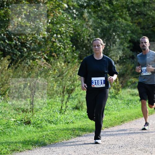 27.09.2026 - 35. Volkslauf durch das schöne Alstertal Dr. Thomas Lammeyer http://msf.ph/oto/10573938 27.09.2026 11:30:43 Laufen 3181, 319 meine-sportfotos.de