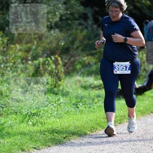 27.09.2026 - 35. Volkslauf durch das schöne Alstertal Dr. Thomas Lammeyer http://msf.ph/oto/10573950 27.09.2026 11:30:49 Laufen 3957 meine-sportfotos.de