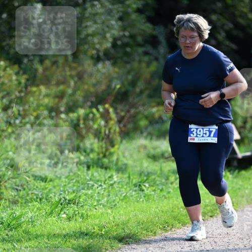 27.09.2026 - 35. Volkslauf durch das schöne Alstertal Dr. Thomas Lammeyer http://msf.ph/oto/10573952 27.09.2026 11:30:49 Laufen 3957 meine-sportfotos.de
