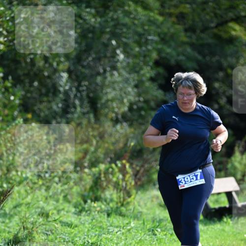 27.09.2026 - 35. Volkslauf durch das schöne Alstertal Dr. Thomas Lammeyer http://msf.ph/oto/10573954 27.09.2026 11:30:50 Laufen 3957 meine-sportfotos.de
