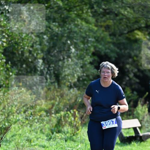 27.09.2026 - 35. Volkslauf durch das schöne Alstertal Dr. Thomas Lammeyer http://msf.ph/oto/10573955 27.09.2026 11:30:50 Laufen 3957 meine-sportfotos.de