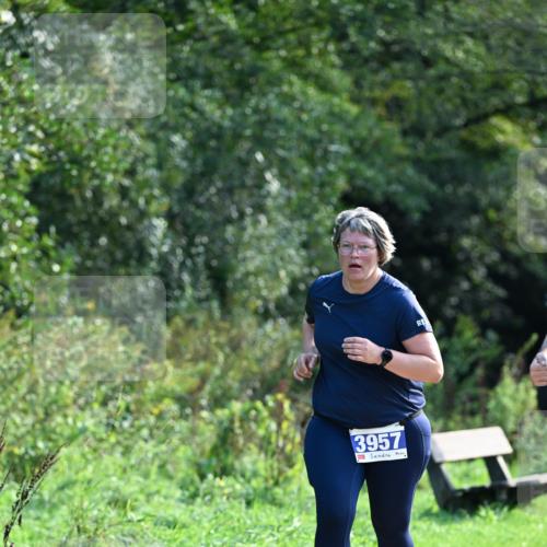 27.09.2026 - 35. Volkslauf durch das schöne Alstertal Dr. Thomas Lammeyer http://msf.ph/oto/10573957 27.09.2026 11:30:50 Laufen 3957 meine-sportfotos.de