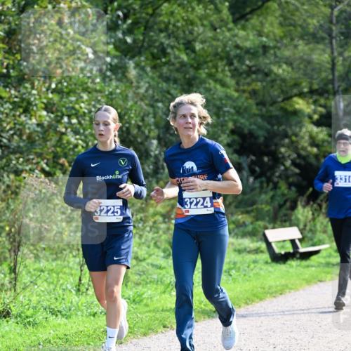 27.09.2026 - 35. Volkslauf durch das schöne Alstertal Dr. Thomas Lammeyer http://msf.ph/oto/10573986 27.09.2026 11:30:57 Laufen 3225, 3224, 3310 meine-sportfotos.de