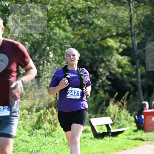 27.09.2026 - 35. Volkslauf durch das schöne Alstertal Dr. Thomas Lammeyer http://msf.ph/oto/10574076 27.09.2026 11:31:16 Laufen 32, 3421 meine-sportfotos.de