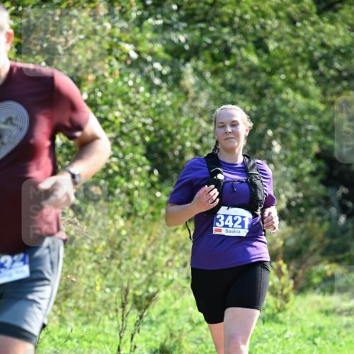 27.09.2026 - 35. Volkslauf durch das schöne Alstertal Dr. Thomas Lammeyer http://msf.ph/oto/10574084 27.09.2026 11:31:17 Laufen 3421 meine-sportfotos.de