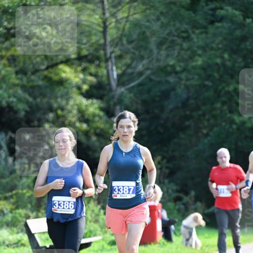 27.09.2026 - 35. Volkslauf durch das schöne Alstertal Dr. Thomas Lammeyer http://msf.ph/oto/10574106 27.09.2026 11:31:29 Laufen 3386, 3387 meine-sportfotos.de
