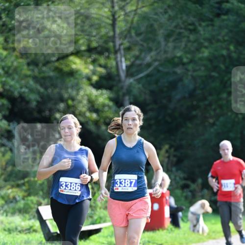 27.09.2026 - 35. Volkslauf durch das schöne Alstertal Dr. Thomas Lammeyer http://msf.ph/oto/10574107 27.09.2026 11:31:29 Laufen 3386, 3387 meine-sportfotos.de