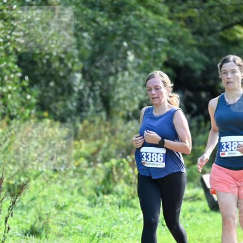 27.09.2026 - 35. Volkslauf durch das schöne Alstertal Dr. Thomas Lammeyer http://msf.ph/oto/10574115 27.09.2026 11:31:30 Laufen 3386, 338 meine-sportfotos.de