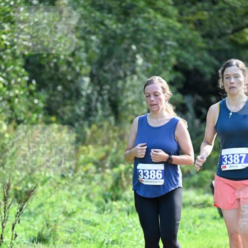 27.09.2026 - 35. Volkslauf durch das schöne Alstertal Dr. Thomas Lammeyer http://msf.ph/oto/10574116 27.09.2026 11:31:31 Laufen 3386, 3387 meine-sportfotos.de