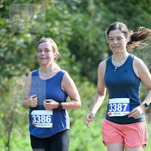 27.09.2026 - 35. Volkslauf durch das schöne Alstertal Dr. Thomas Lammeyer http://msf.ph/oto/10574126 27.09.2026 11:31:32 Laufen 3386, 3387 meine-sportfotos.de